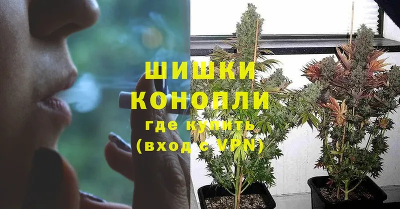 Бошки марихуана OG Kush  Пушкино 